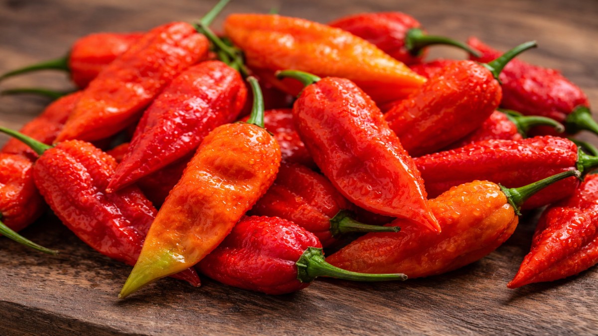 Ghost Pepper
