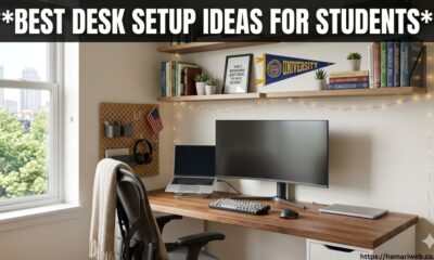 Best Desk Setup Ideas for Students