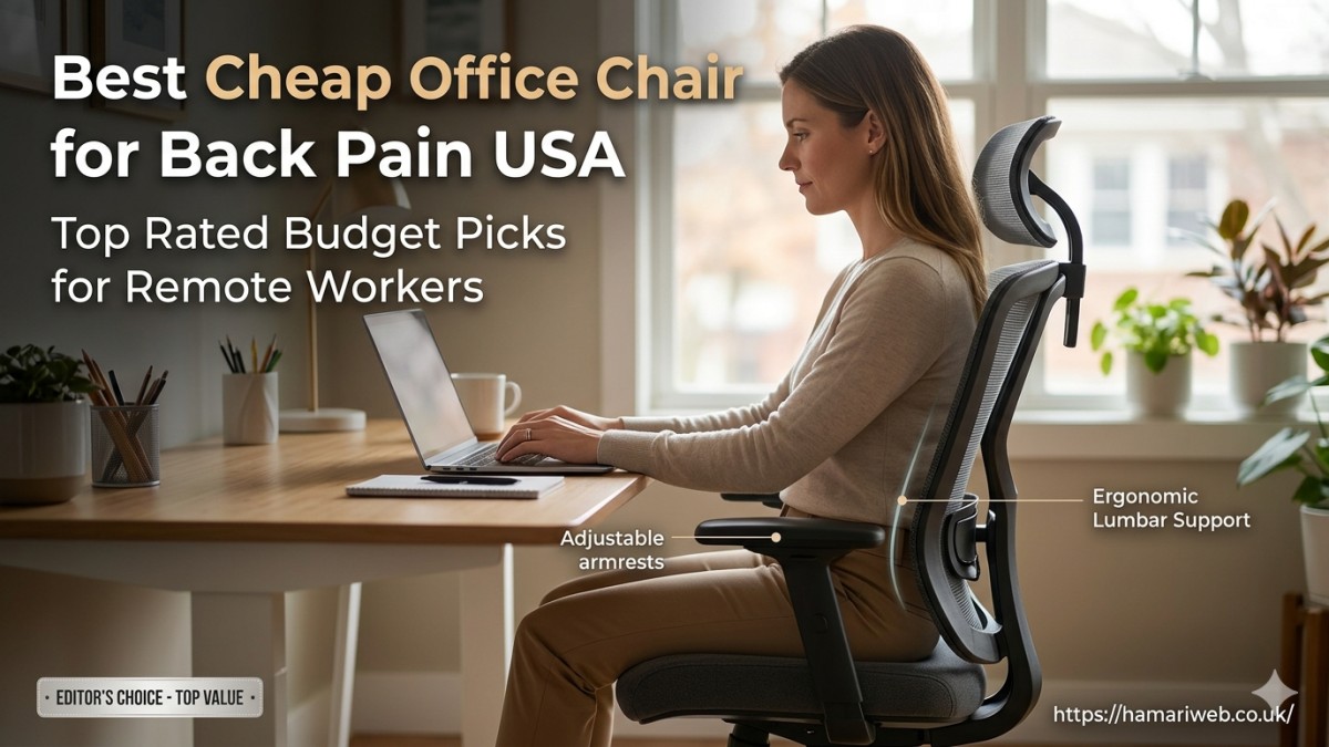 Best Cheap Office Chair for Back Pain USA