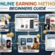 Real Online Earning Methods USA Beginners Guide