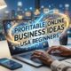 Profitable Online Business Ideas USA Beginners