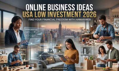Online Business Ideas USA Low Investment 2026