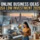 Online Business Ideas USA Low Investment 2026