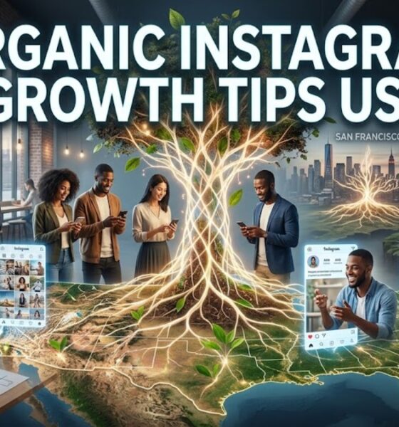 Organic Instagram Growth Tips USA