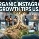 Organic Instagram Growth Tips USA