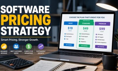 Software Pricing Strategy